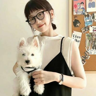 猛虫过江